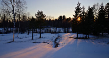 Hörneå